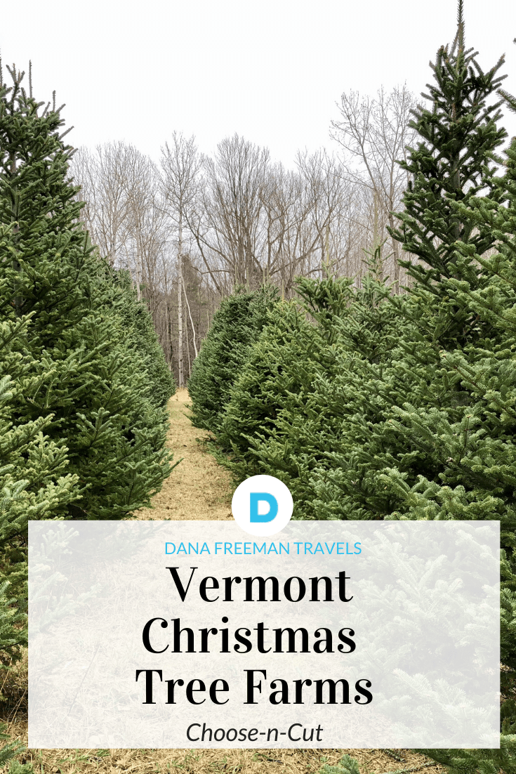 Dana Freeman Travels Vermont Christmas Tree Farms Dana Freeman Travels