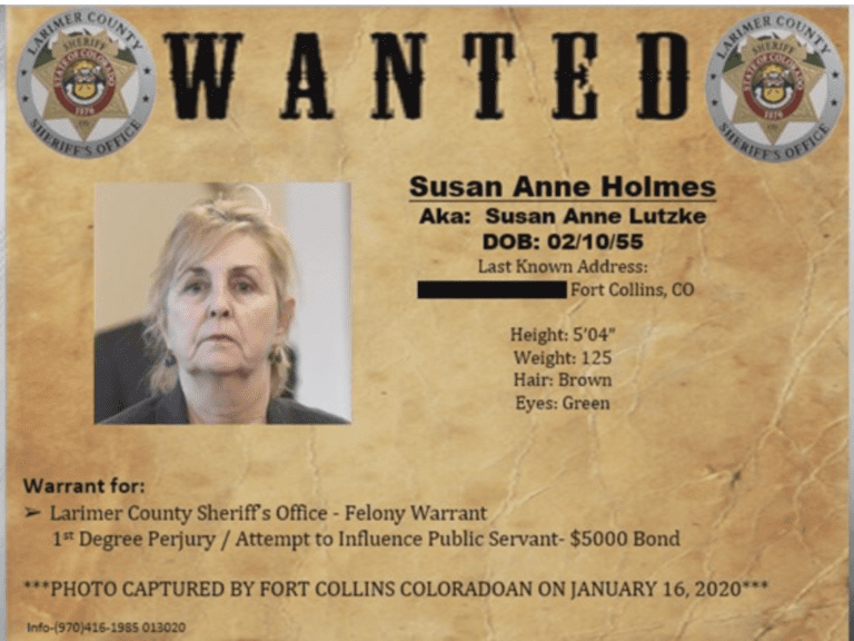 Warrant Issued for Colorado Woman Who Lied in Red Flag Filing Dana Loesch