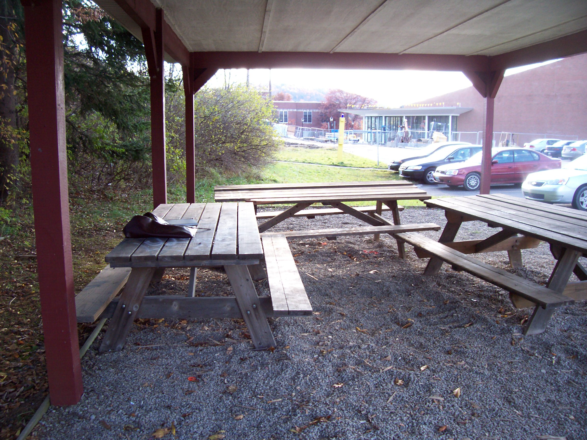 My “Space” Dana Pomerantz's Blog