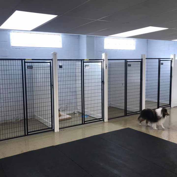 Dana's Dog Spa Hutchinson, MN