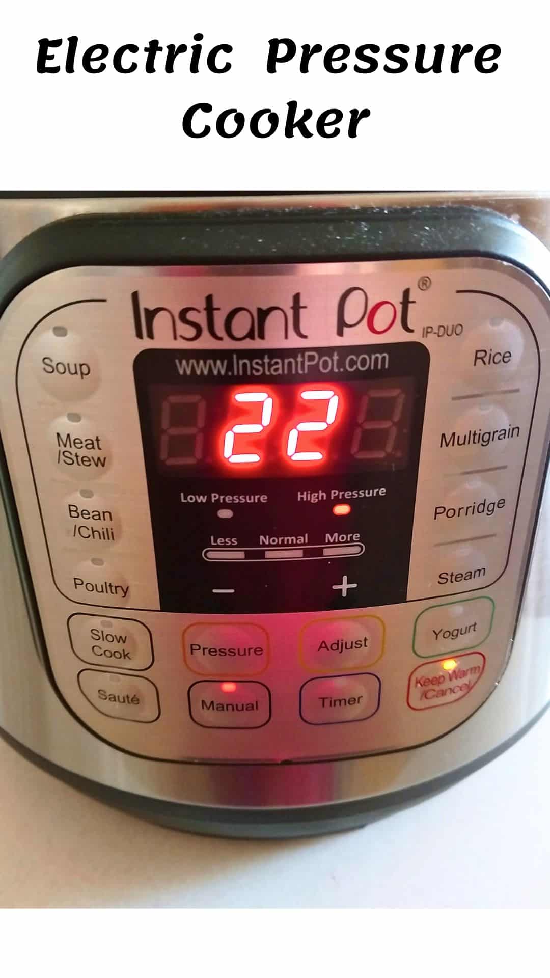 Make 5 Easy Electric Pressure Cooker Recipes (Under 1 Hour)