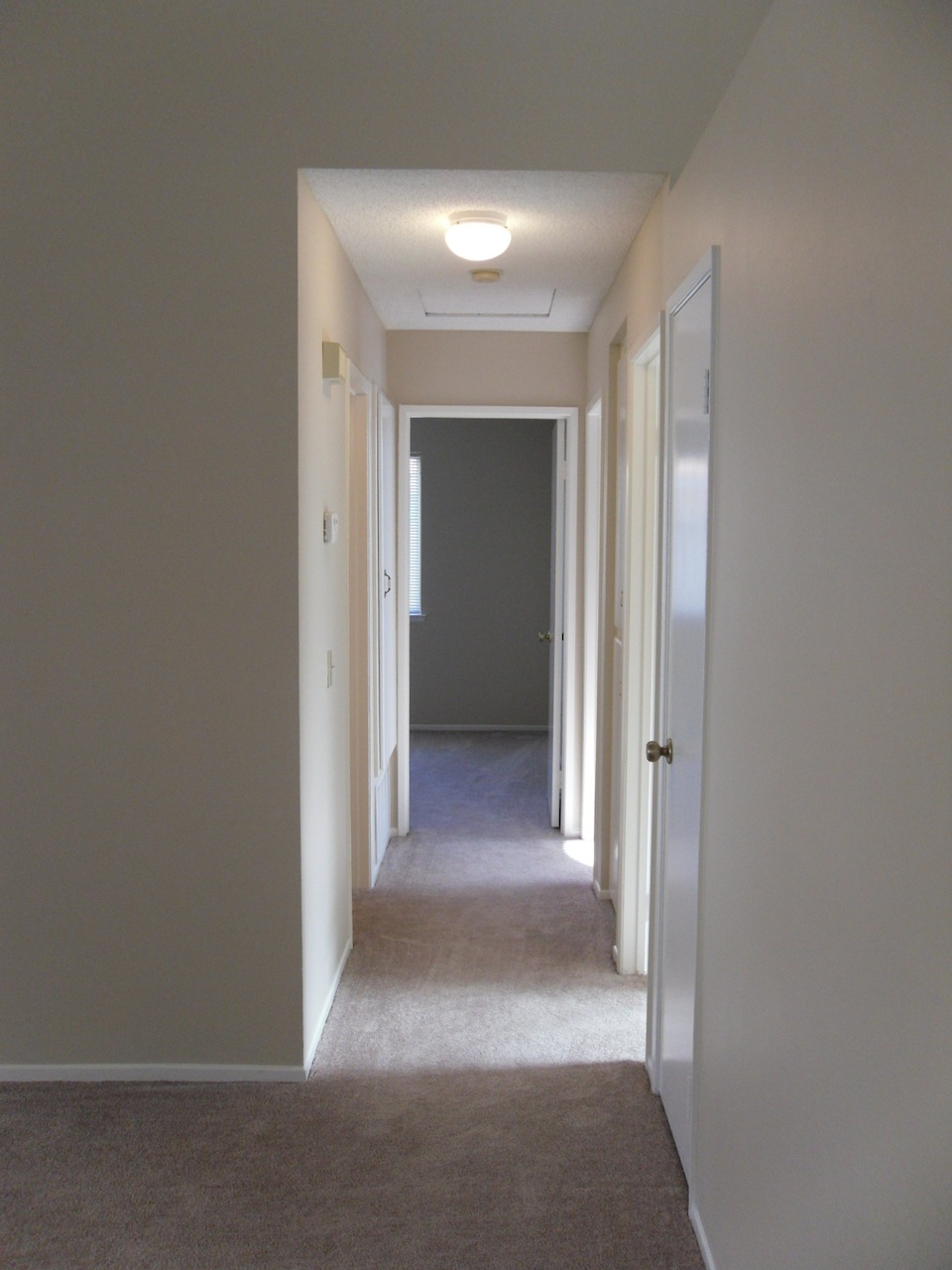 Sun City House for RENT!