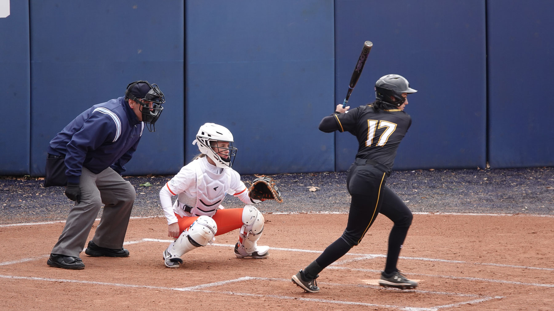 Early Work Online Baseball & Softball Workout Program