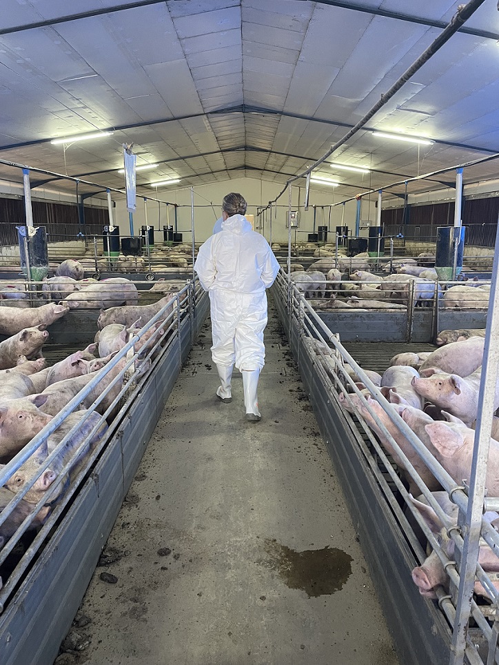 Savannah Pork DanBred Case Stories