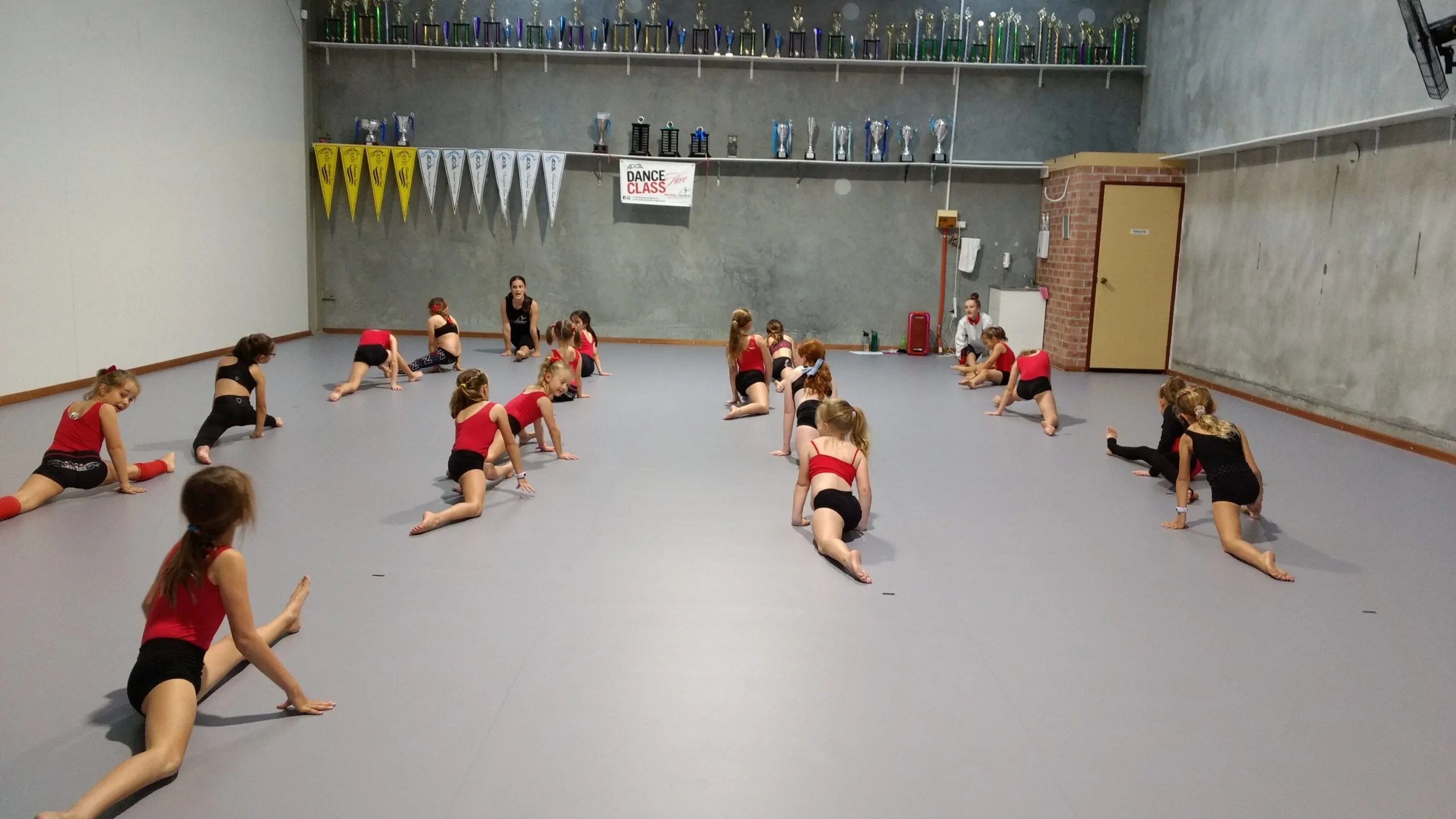 Vinyl Dance Floor Dance Floor