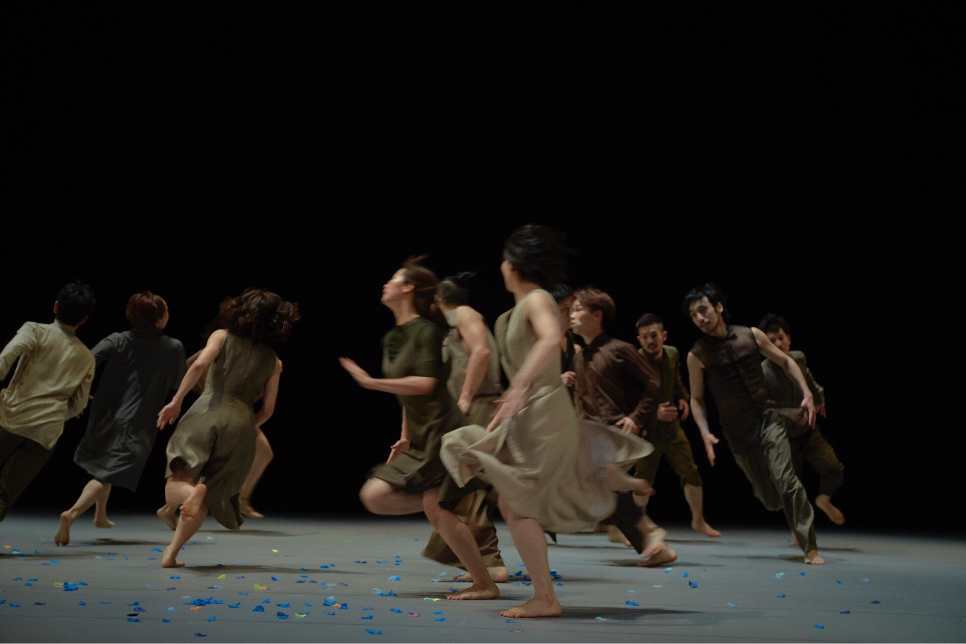 山田うん『NIPPON・CHA!CHA!CHA!』インタビュー！ dancedition