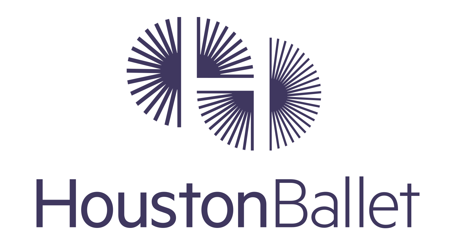 Houston Ballet Foundation Dance Source Houston