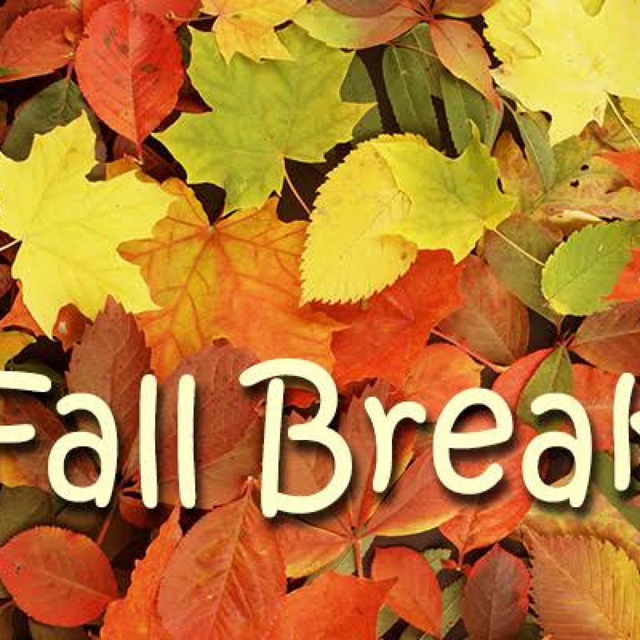 una fall break 2023 FALL BREAK/STUDIO CLOSED OCT 11TH15TH,2021 » The Dance Studio