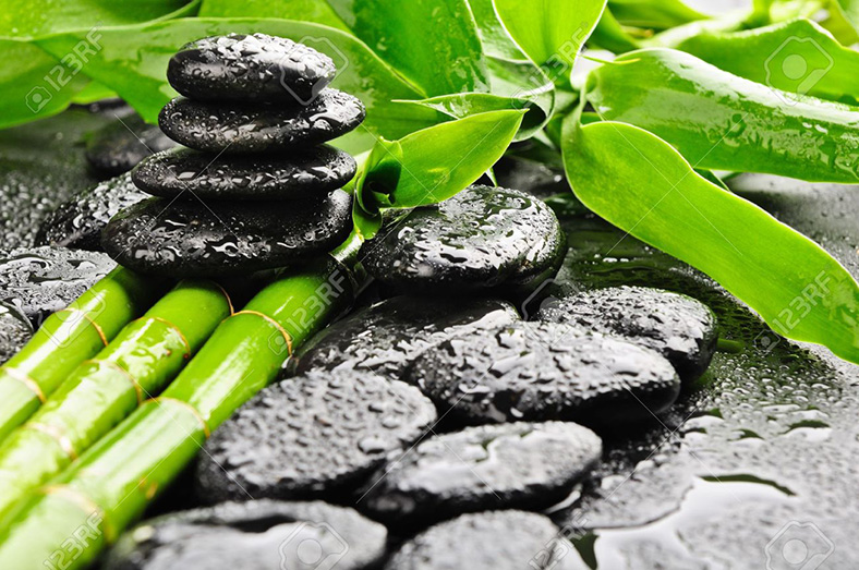 What is Bamboo Water? Dan Churchill