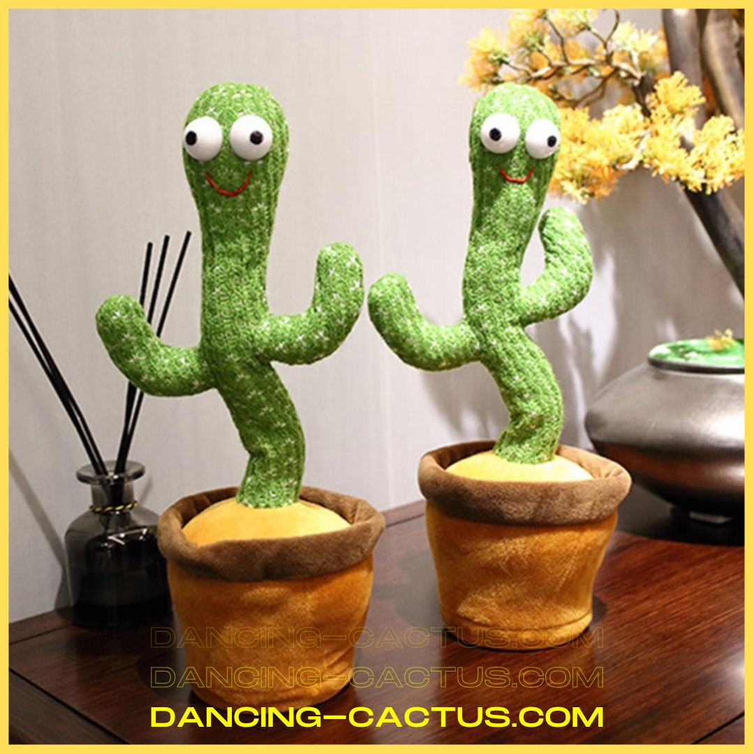 Dancing Cactus Official Dancing Cactus Store