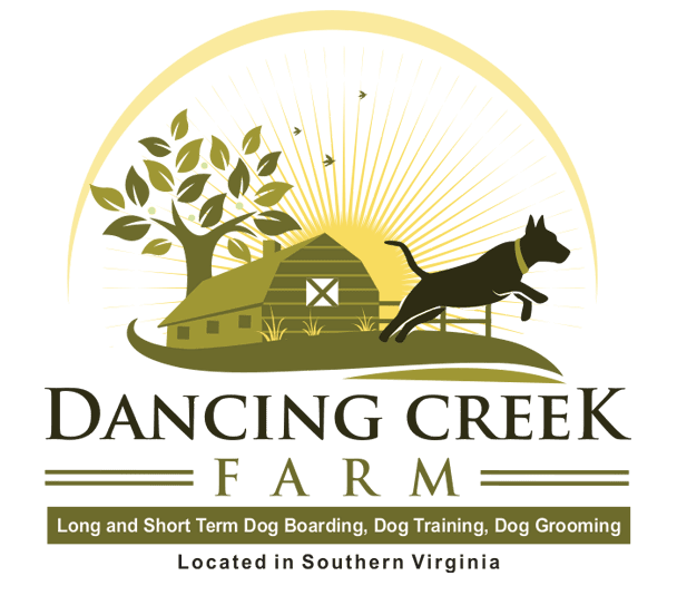 Long Term Dog Boarding Dog Training Farm Dancing Creek Farm