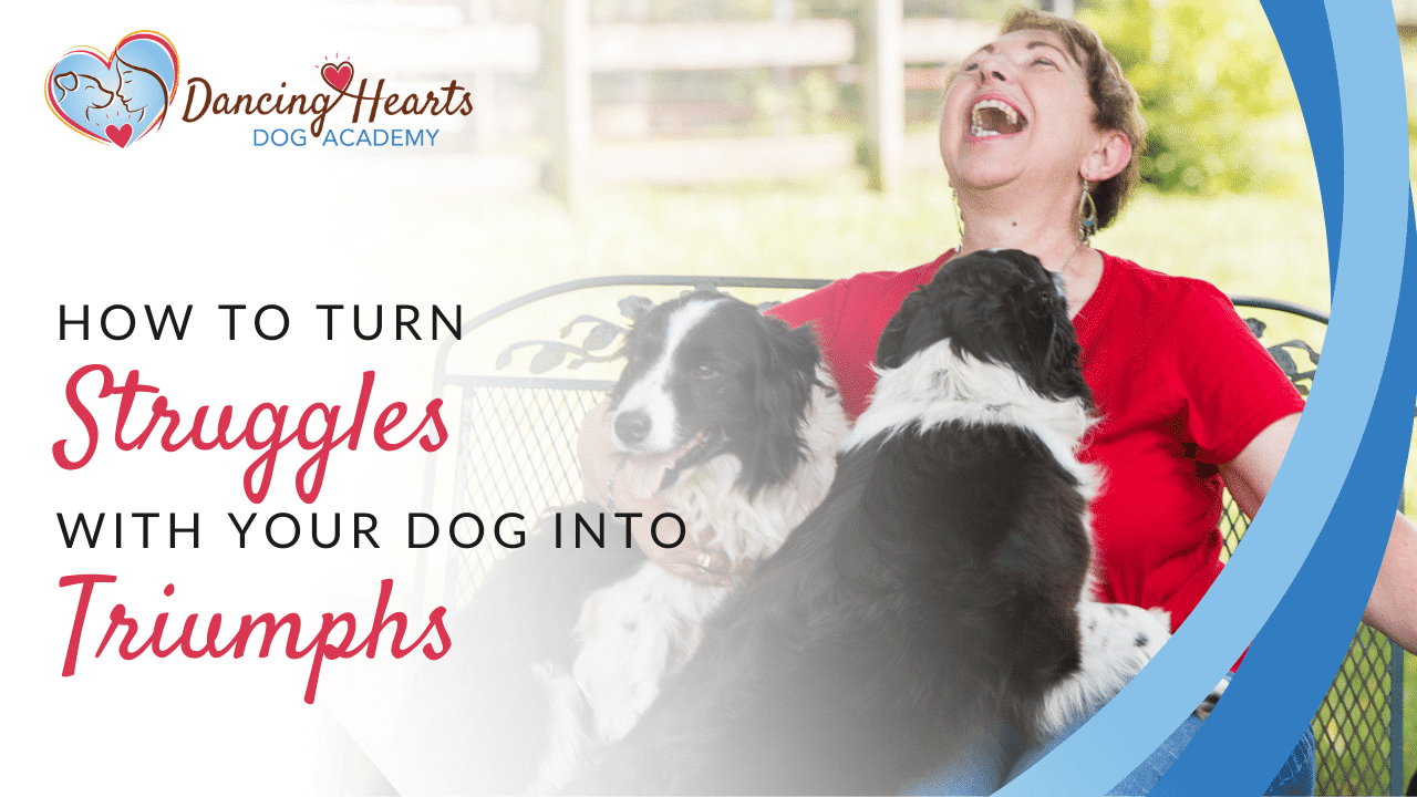 Can You Bring Your Dog Into Academy