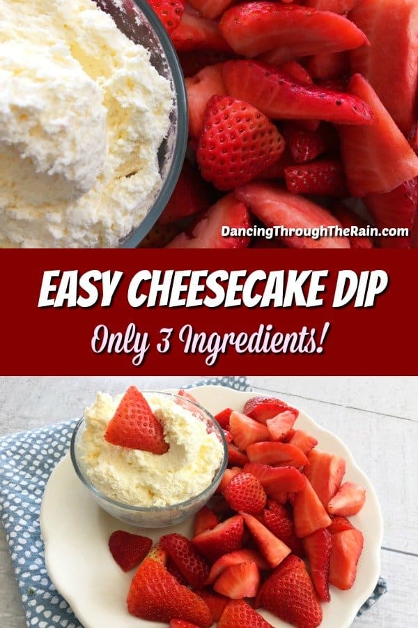 Cheesecake Dip Perfect For Fruit! Dancing Through the Rain