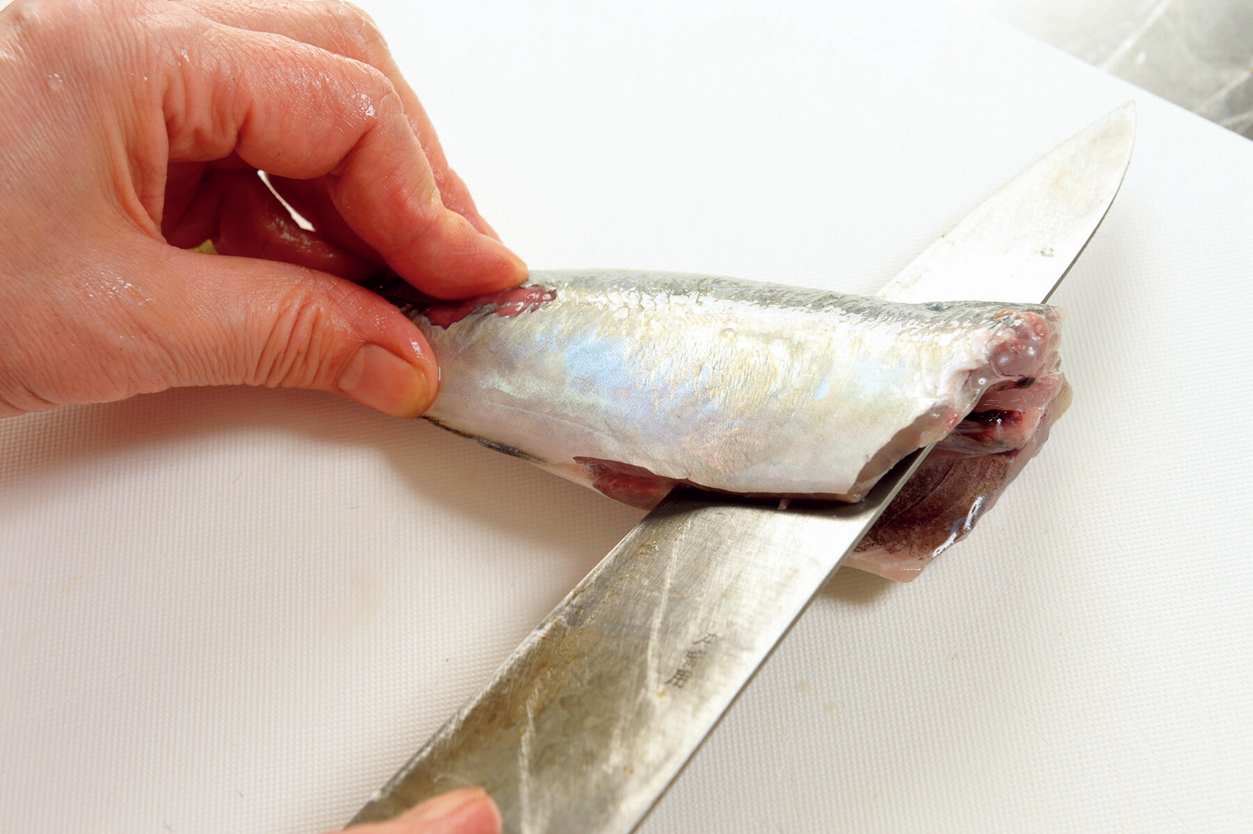 王道の美味！失敗しらずの"アジフライ" 福地享子さんの魚河岸流魚フライ 【公式】dancyu (ダンチュウ)