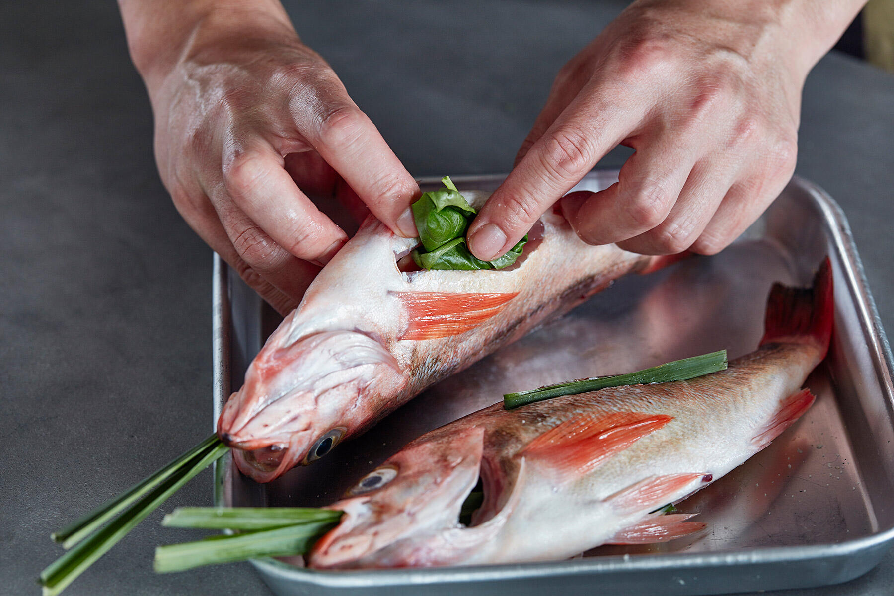 こんがりふっくらハーブが香る魚のアジアングリル｜コウケンテツさんの秋の食卓レシピ⑤ 今日、なにつくる？ 【公式】dancyu (ダンチュウ)