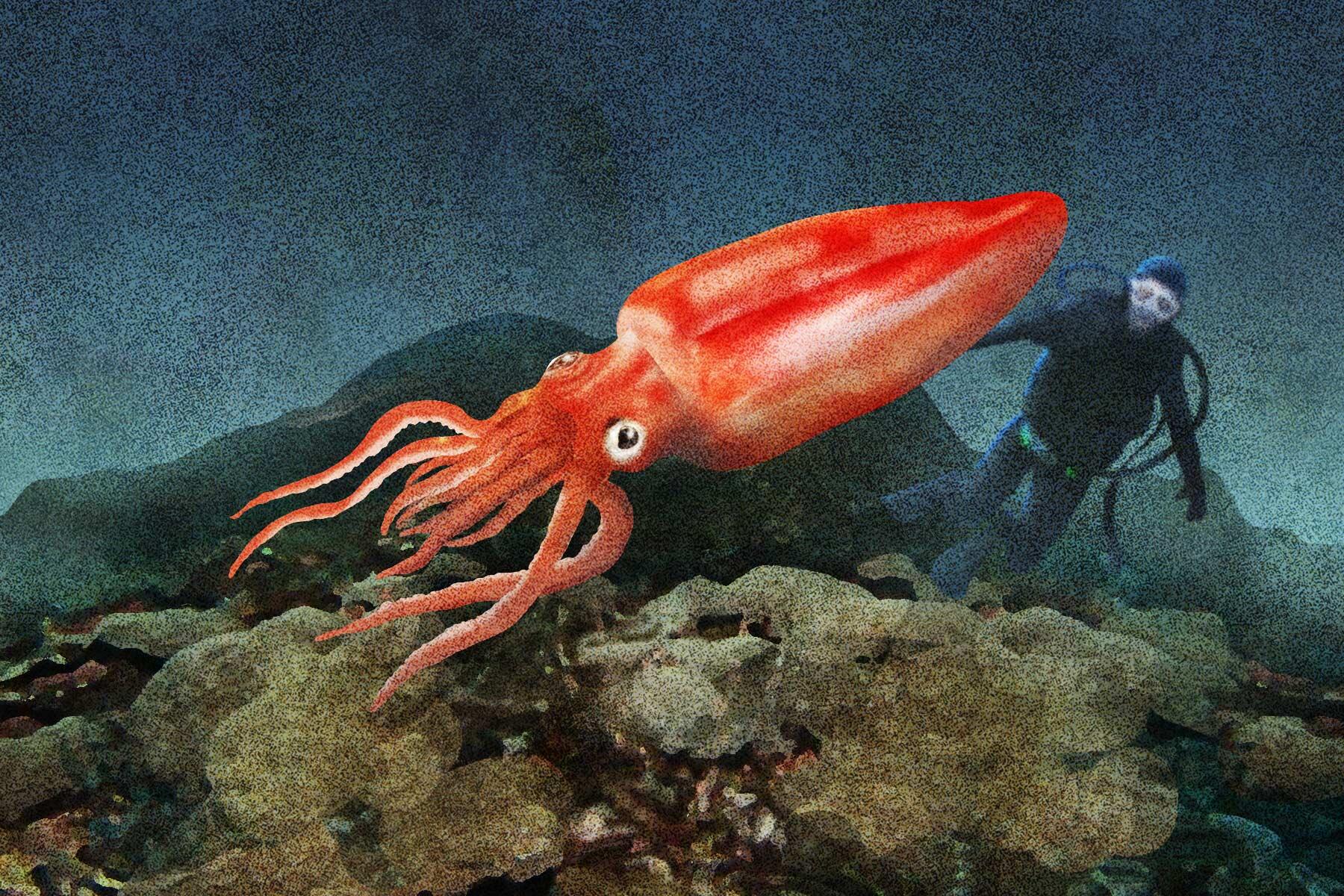 2020年dancyuWEBで人気があった"食の話"10選① dancyuWEBから 【公式】dancyu