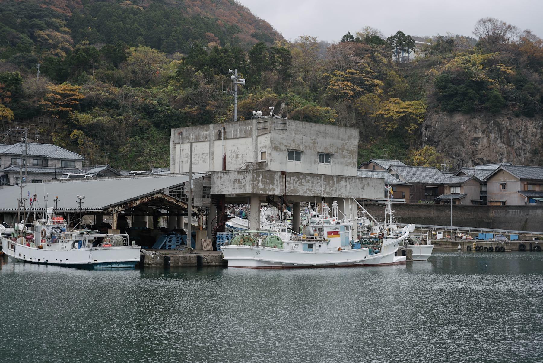 「越前がに」はどこにいる？ あなぐまを食べる会 【公式】dancyu (ダンチュウ)
