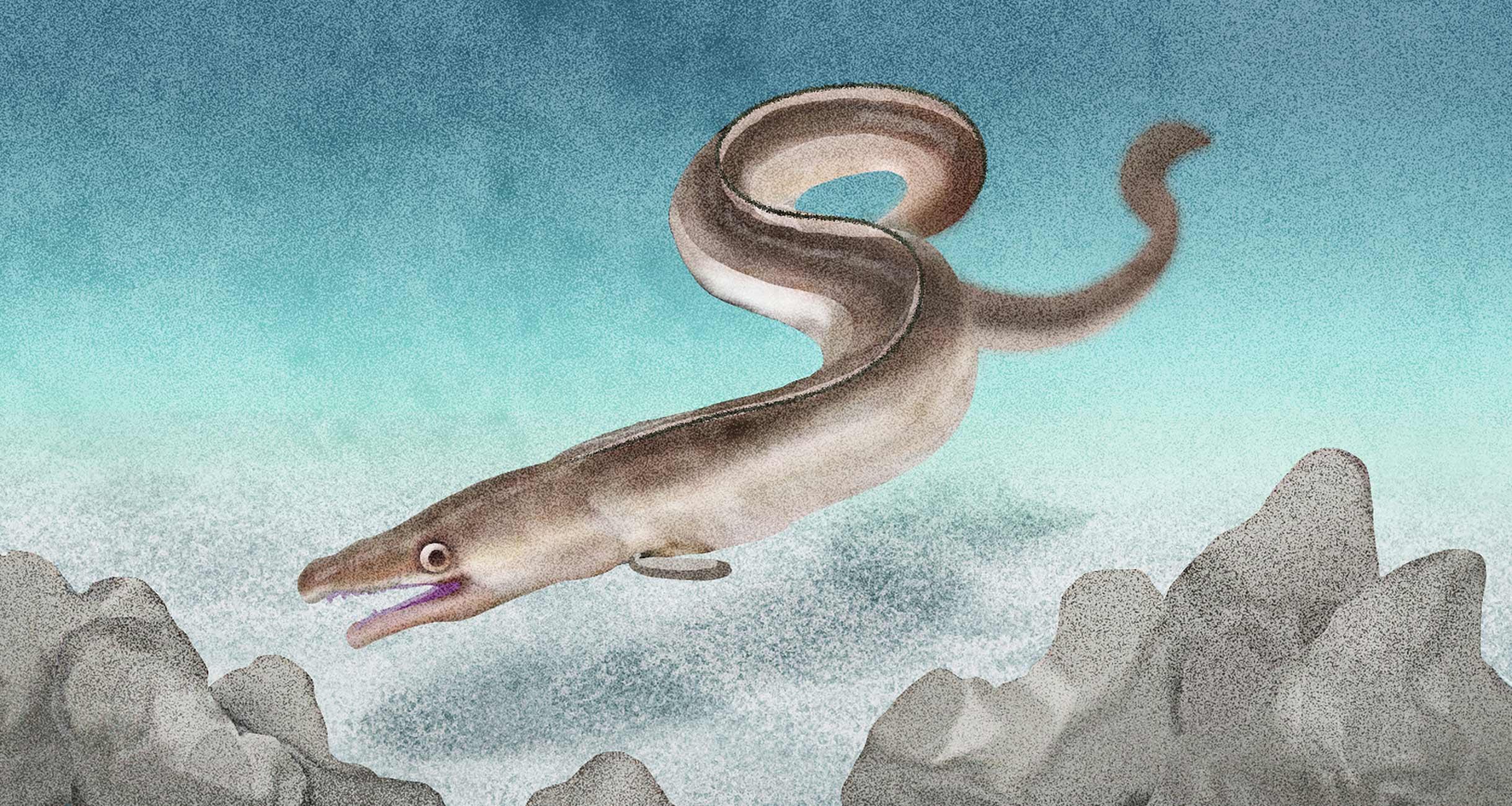 獰猛で生命力が強い夏の高級魚とは？｜怪魚の食卓㉑ 怪魚の食卓 【公式】dancyu (ダンチュウ)
