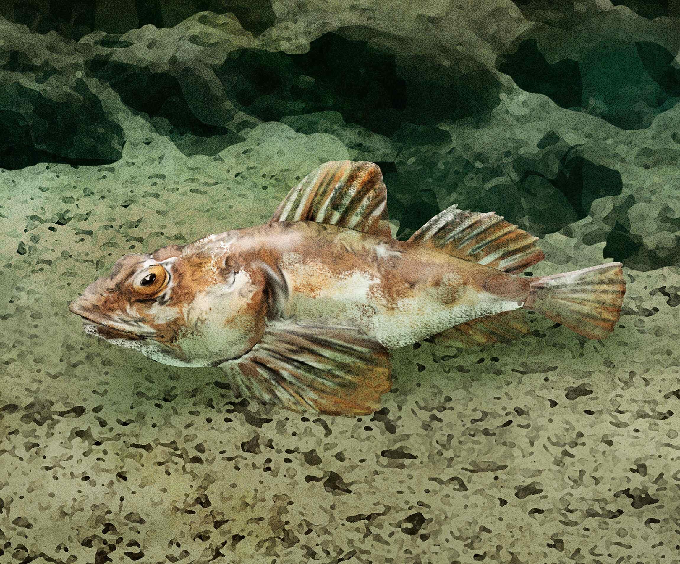 鍋を壊すほど旨い｜怪魚の食卓㊷ 怪魚の食卓 【公式】dancyu (ダンチュウ)