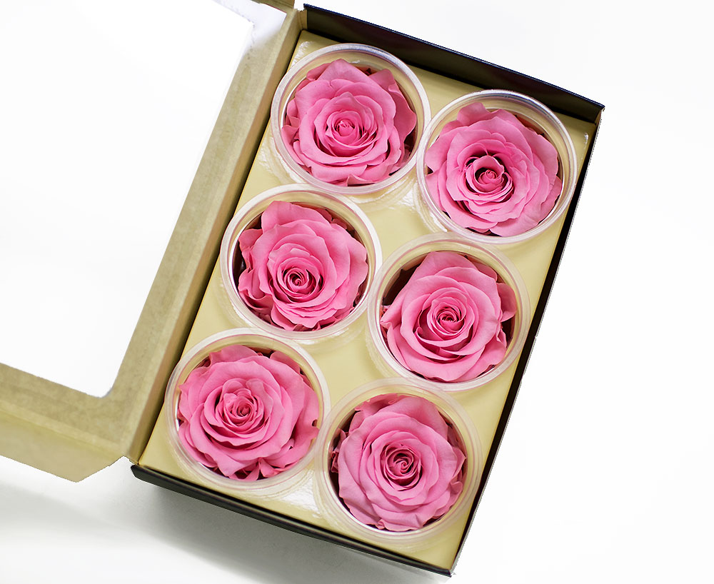 Pink Ecuadorian Eternity Flowers Preserved Roses Pack of 6 6cm to 7cm