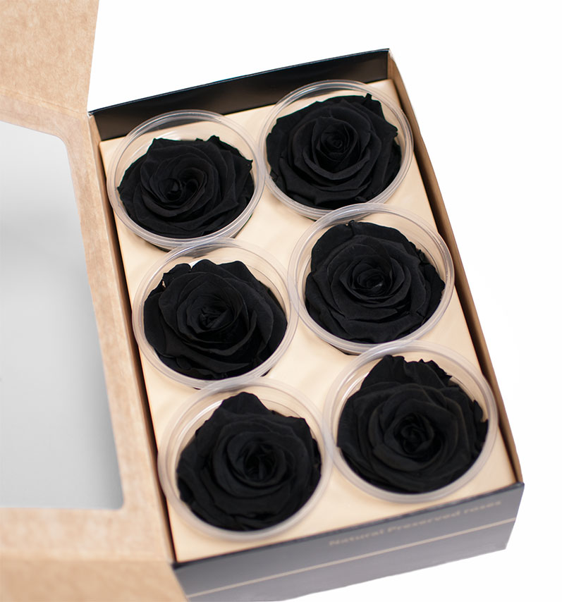 Black Ecuadorian Eternity Flowers Preserved Roses Pack of 6 6cm to 7cm