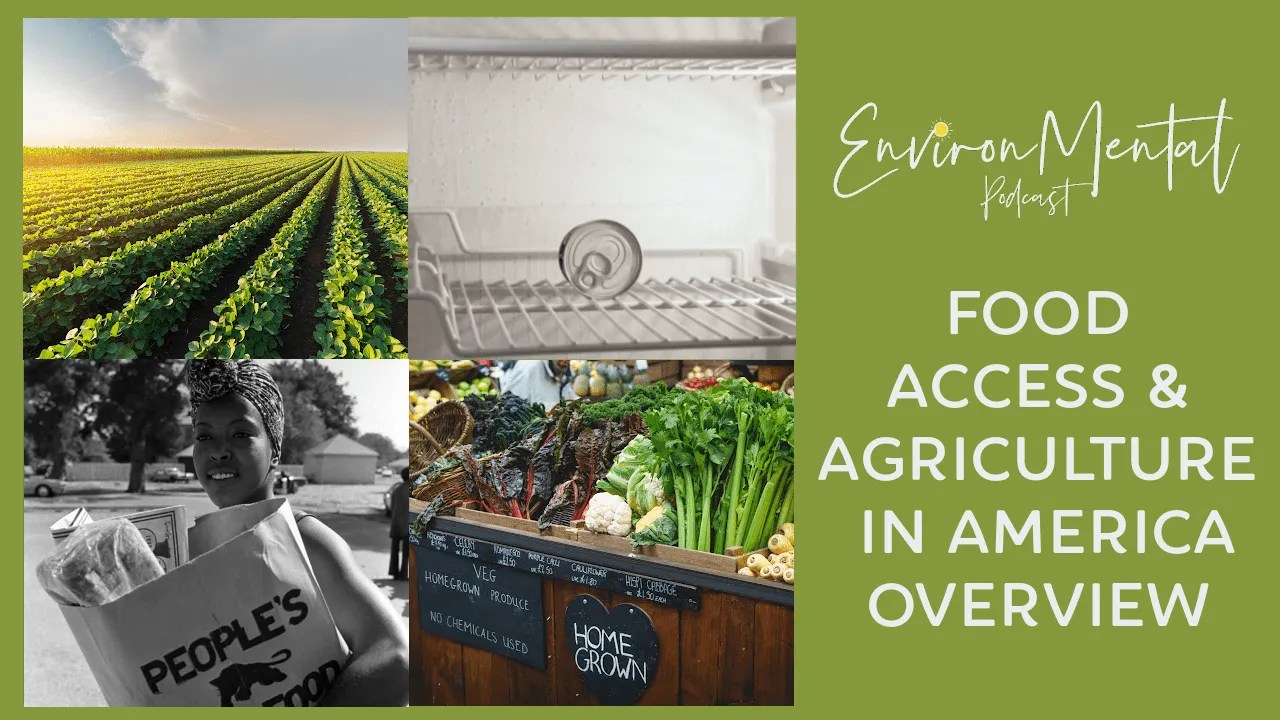 Food and Agriculture Industry in US EnvironMental with Dandelion