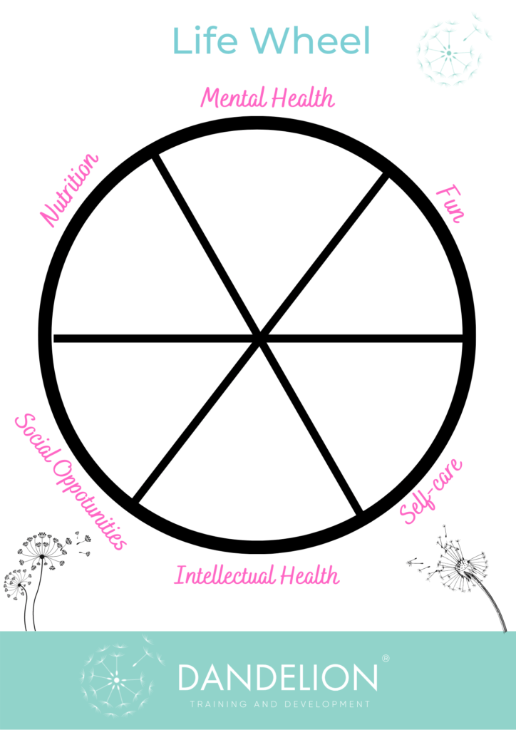 Children's Activity Life Wheel Assessments Dandelion Training