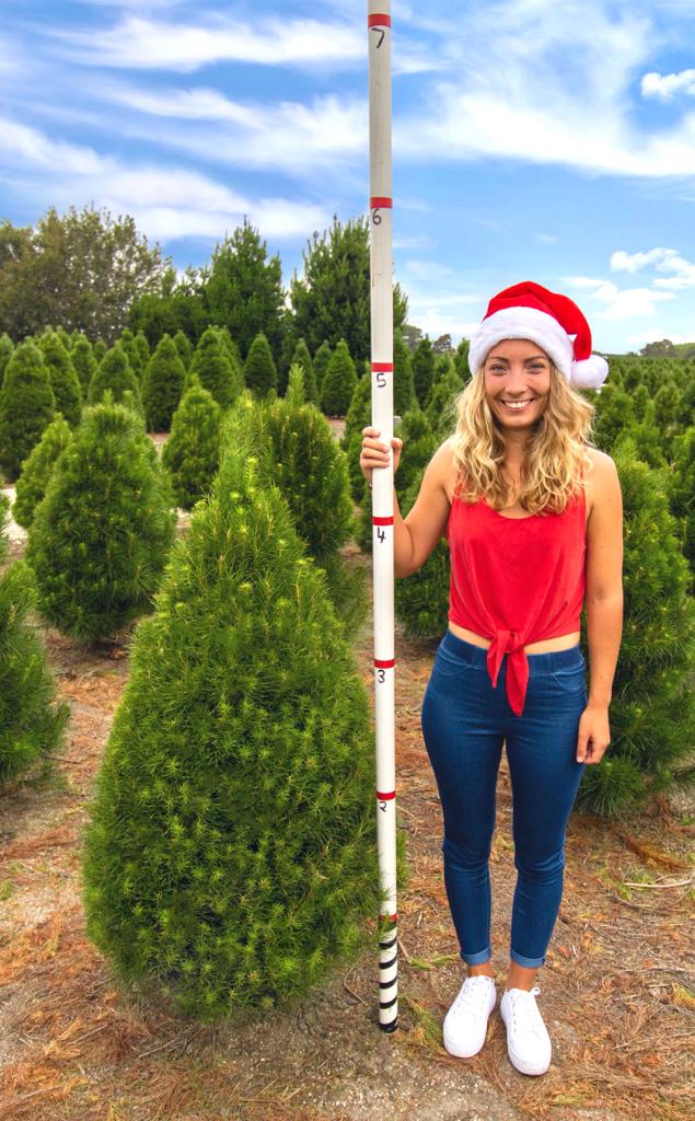 5 foot Christmas tree delivered to your home