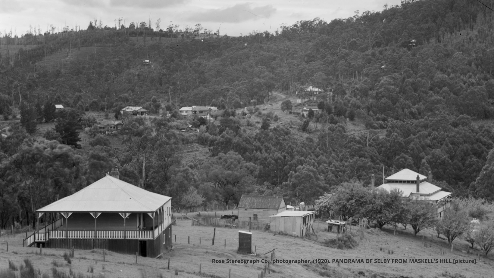 Home Dandenong Ranges History