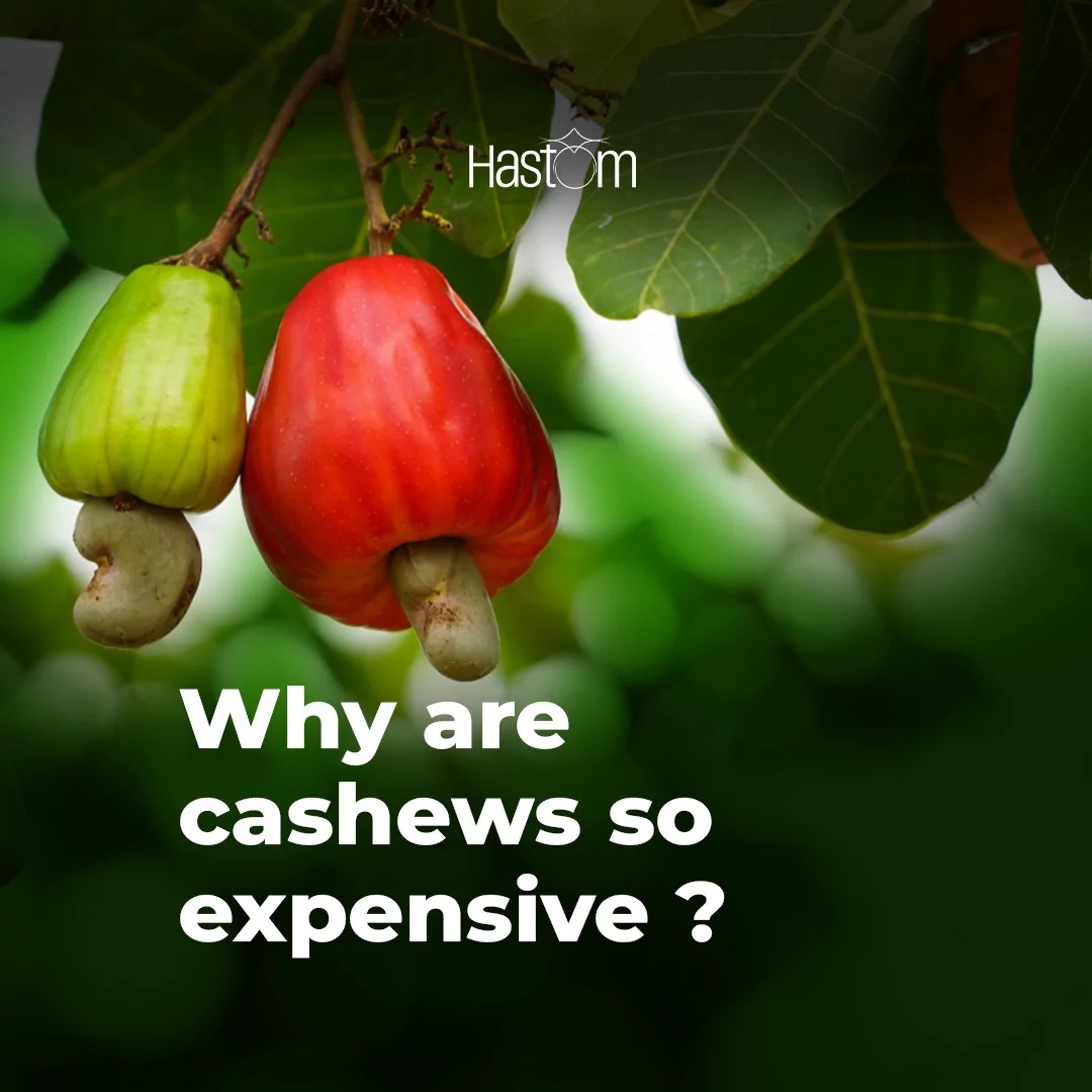 Cashew Nut Prices A Comprehensive Guide Dando