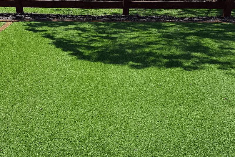Wintergreen Couch Turf Penrith & Sydney Ph(02) 4776 2761