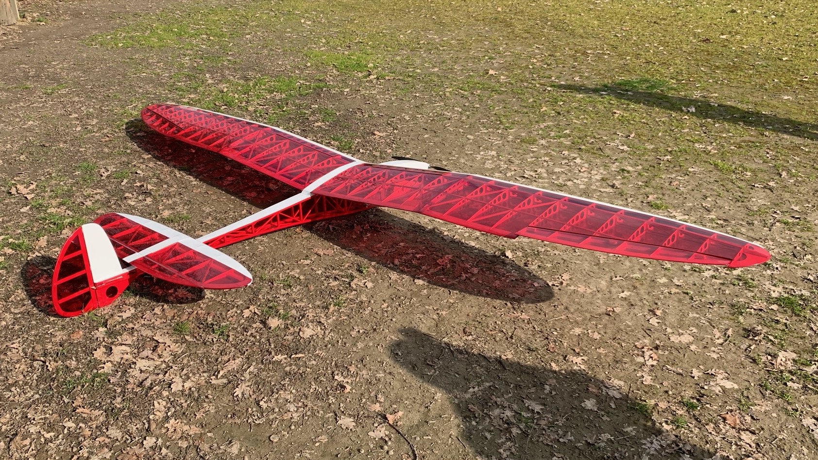 Dario from Italy have made this beautiful Leprechaun XL DaneRC