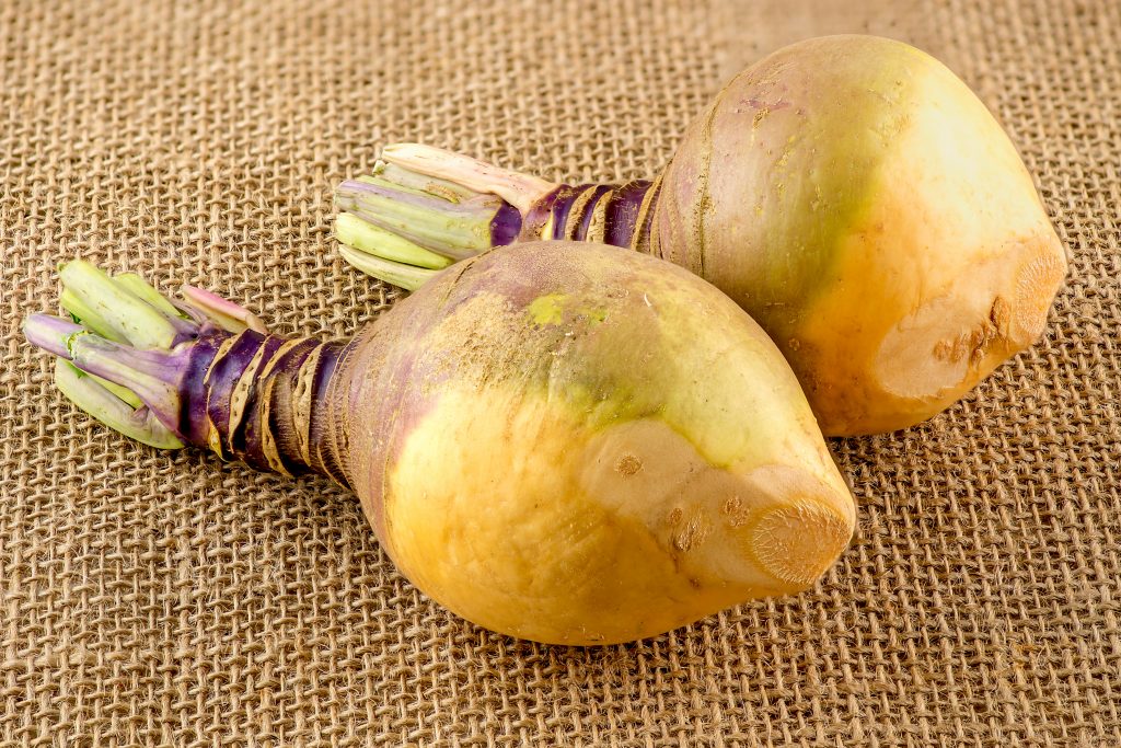Rutabaga VS Potato