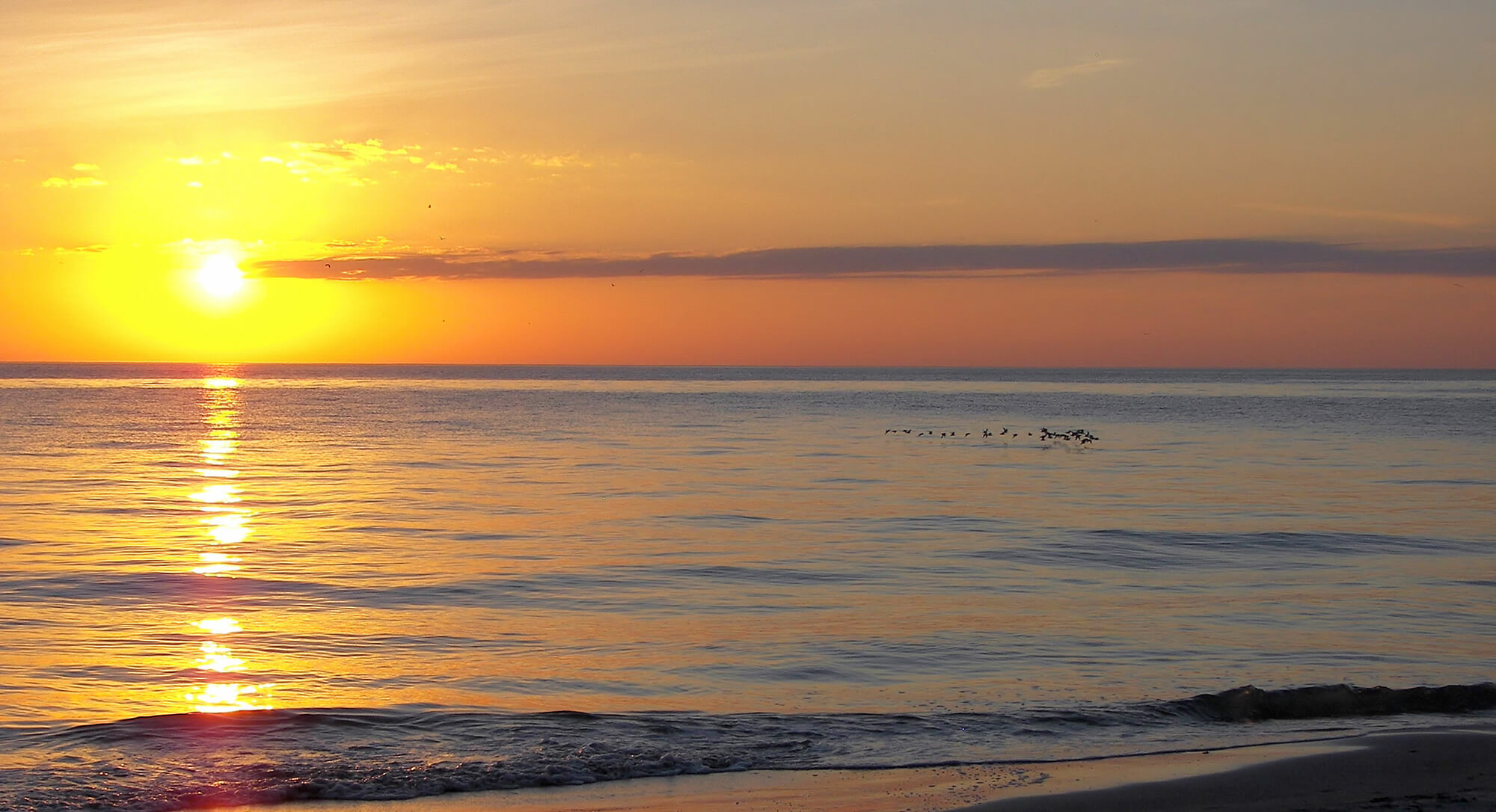 Danforth News Danforth Development