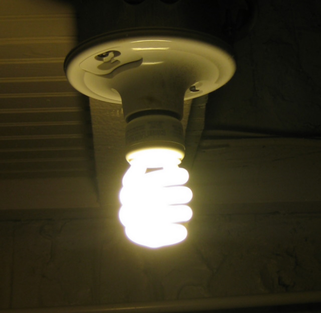 What’s driving Will’s warped views on environmental issues