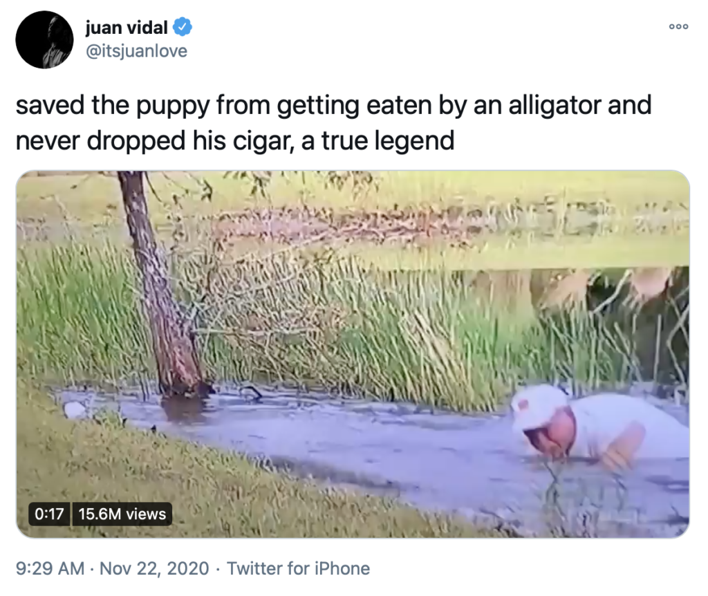 Spoiler Alert re 17 Second Video Man Saves Puppy from Alligator
