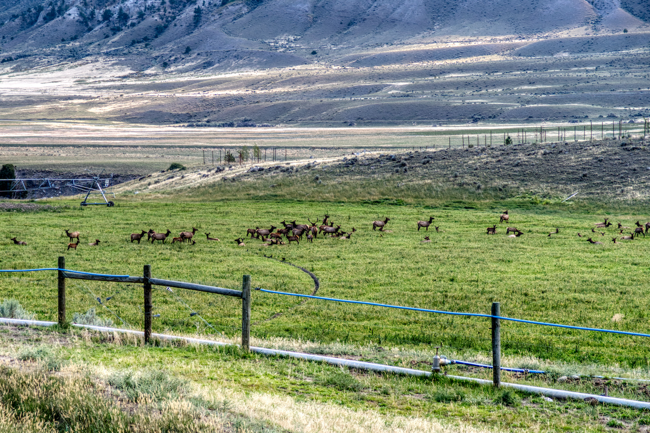 The Spaces of Yellowstone Dangerous Intersection