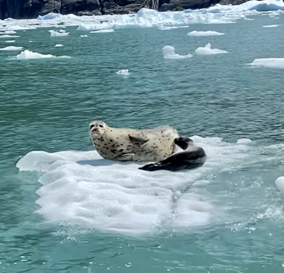 Gallery DANGEROUS WATER ADVENTURES THE ADVENTURE OF A LIFETIME