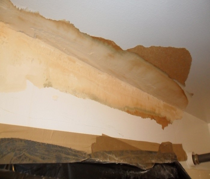 Water Damaged Ceilings danhes7blog