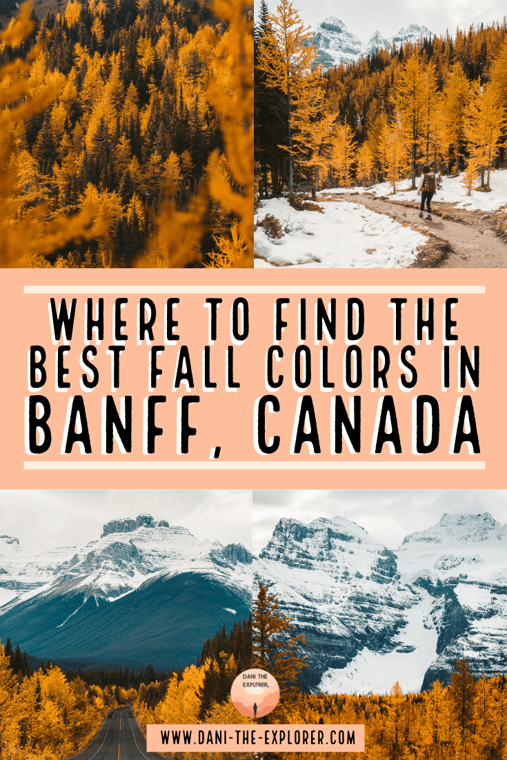 What To Do In Banff This Fall Season A Foliage Guide Dani The Explorer
