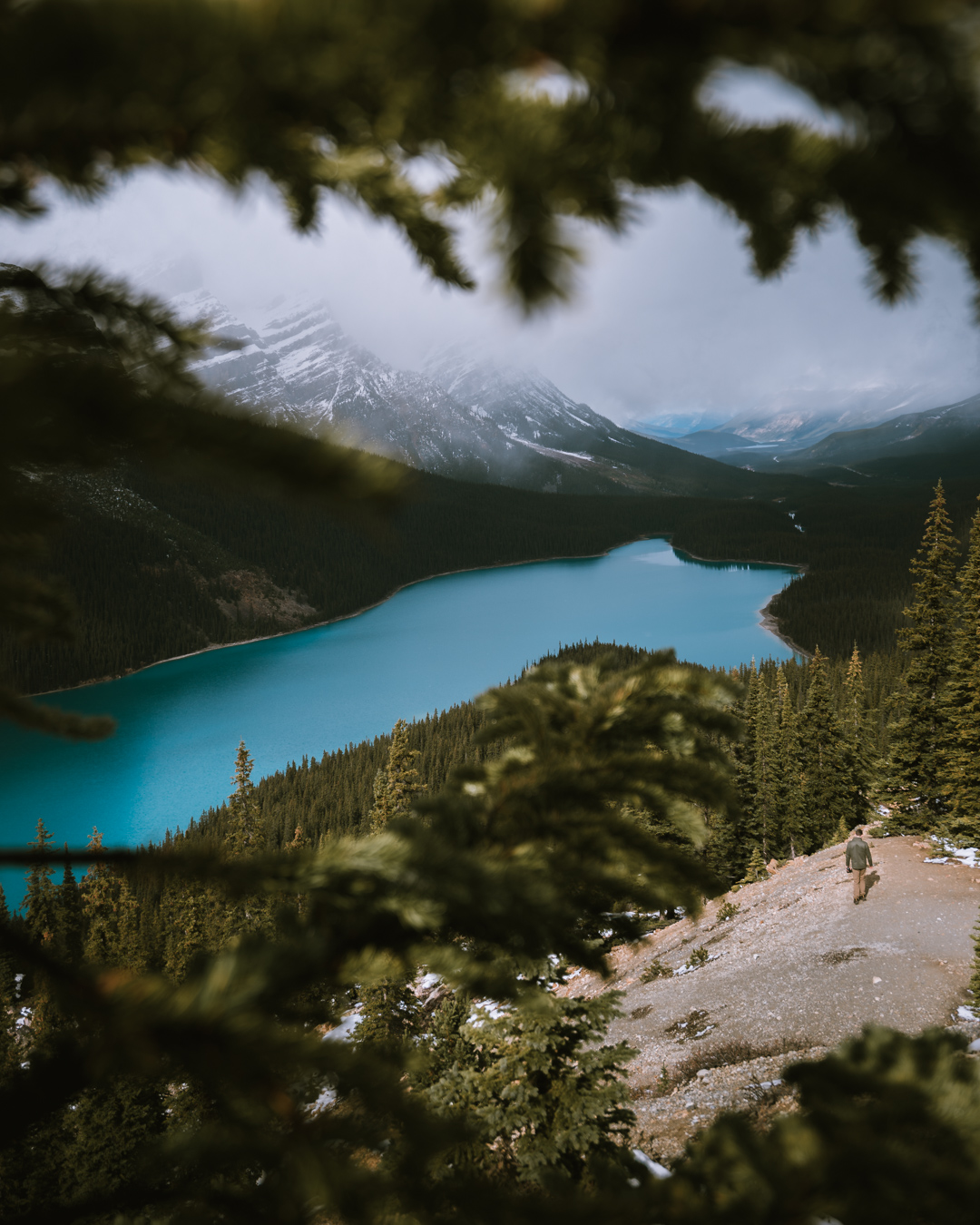 What To Do In Banff This Fall Season A Foliage Guide Dani The Explorer