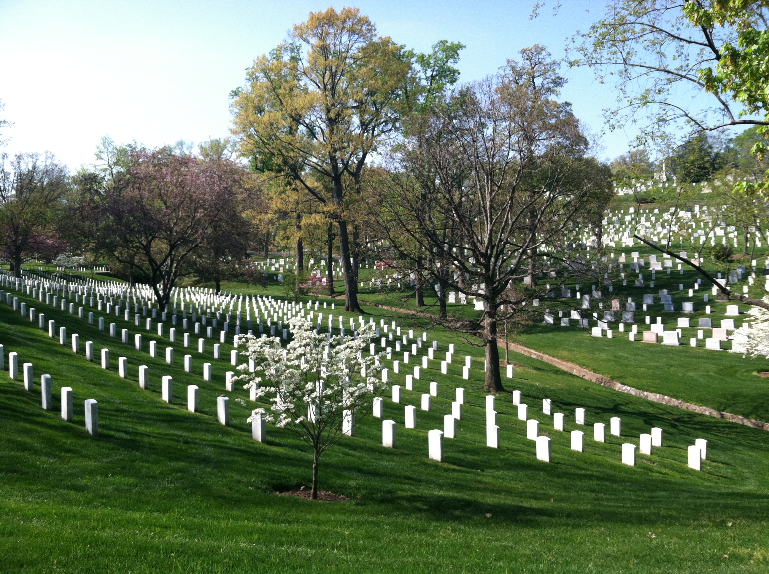 Veterans Day ceremony at Arlington National Cemetery