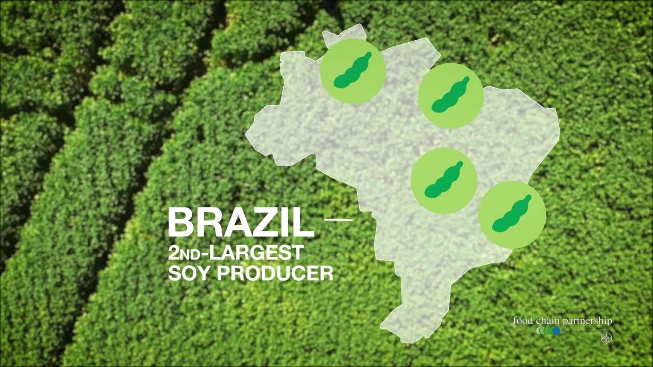 Brazil is Best Game in Town When it Comes to Soybean Exports 03.03.2020