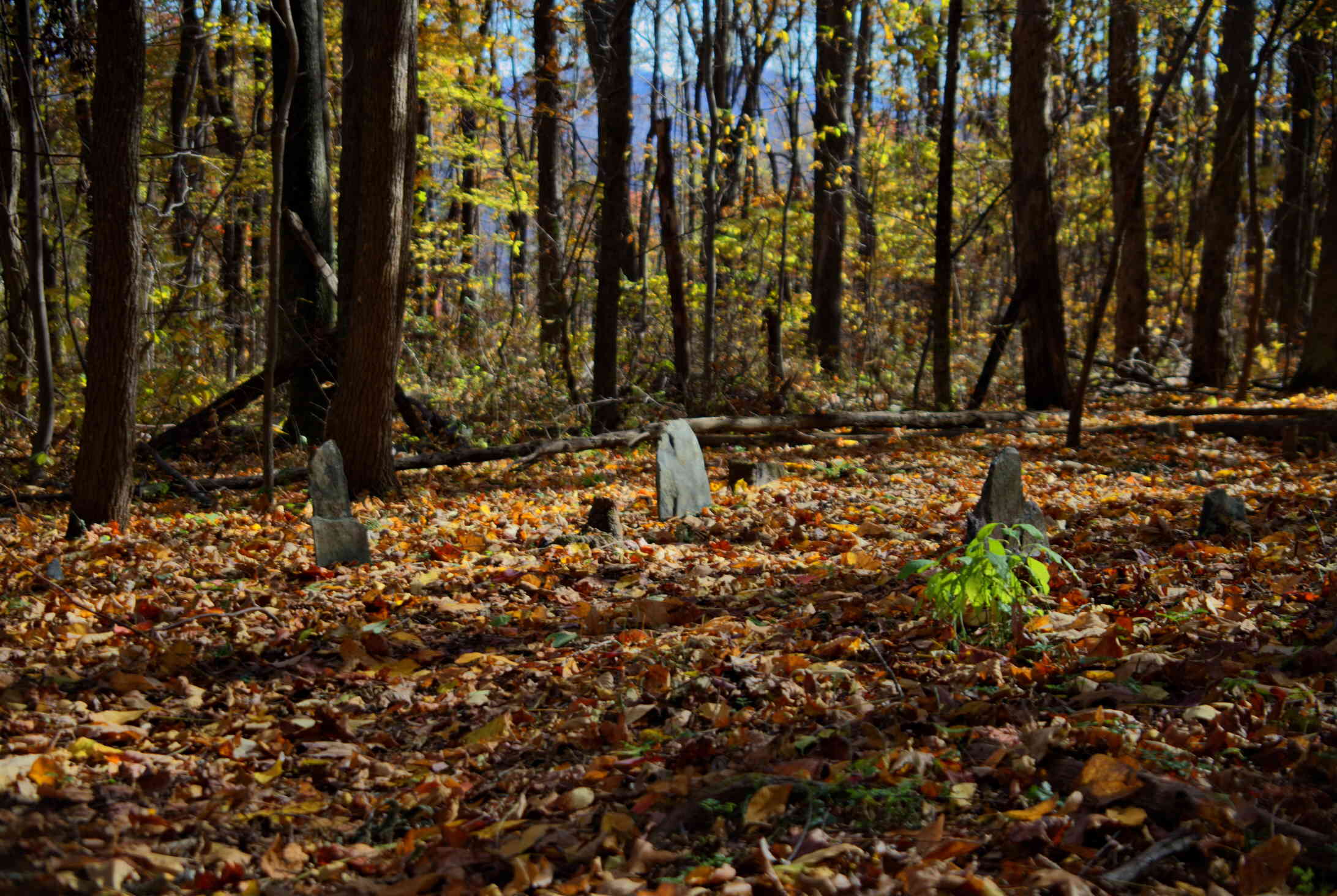 Appalachian Trail Daniel Dodge