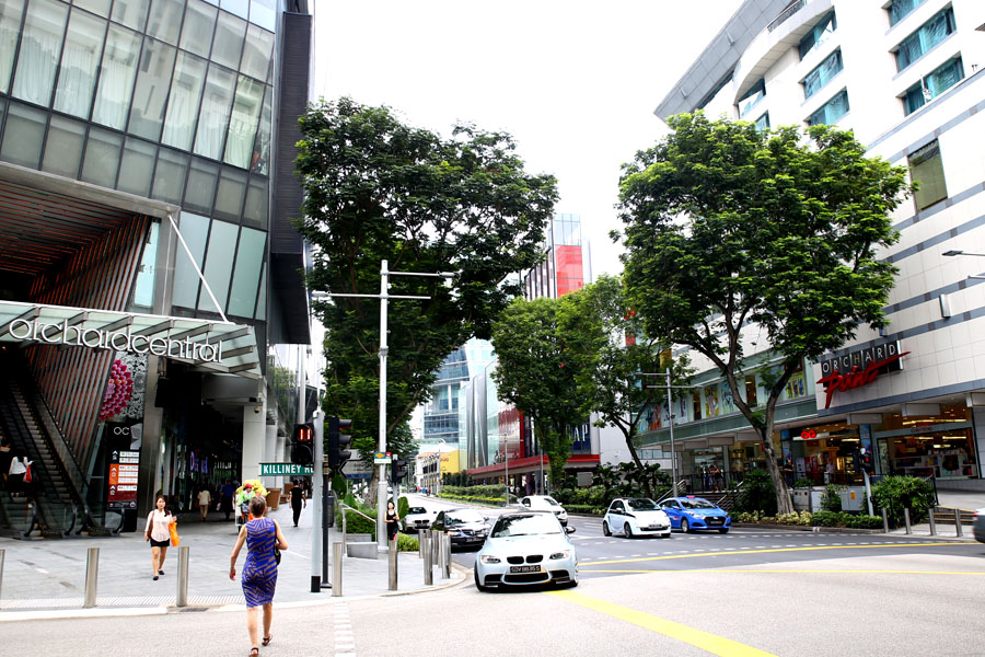 26 Best Cafes At Orchard Road For Shoppers, Dessert Lovers and The TaiTais