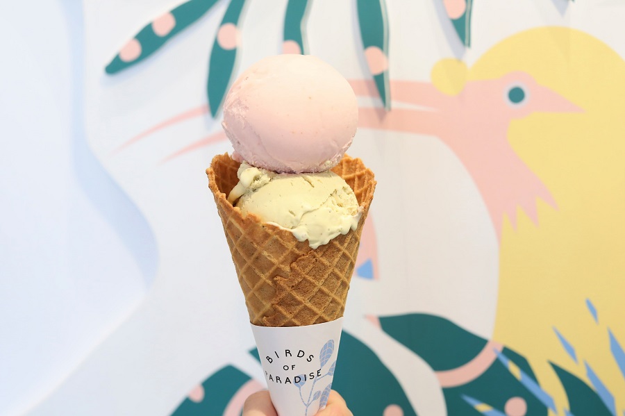 Birds Of Paradise Ice Cream Café, NEW Outlet At