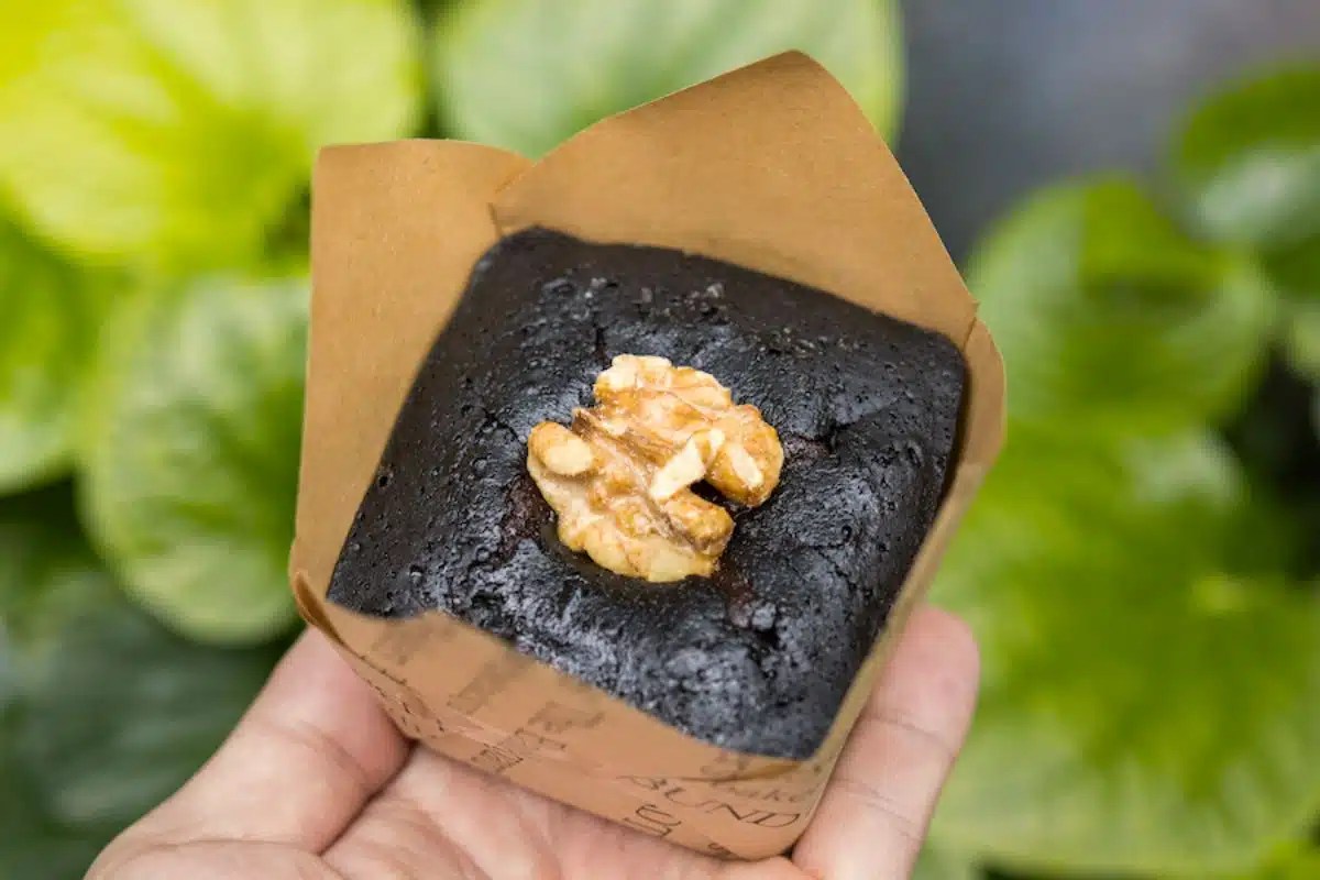 The Backyard Bakers Popular BrownieSpecialty Cafe At Jewel Changi