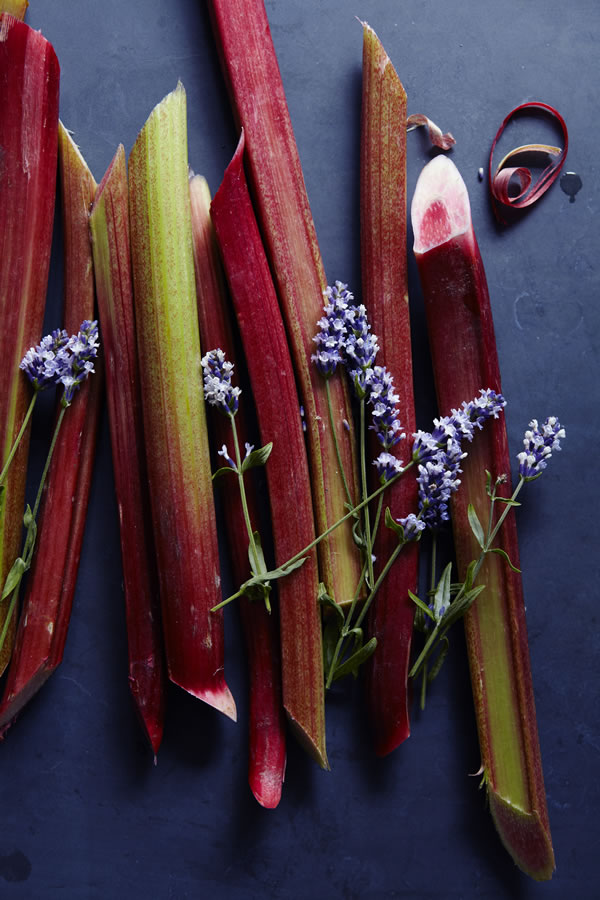 French Countryside Cooking Daniel Galmiche