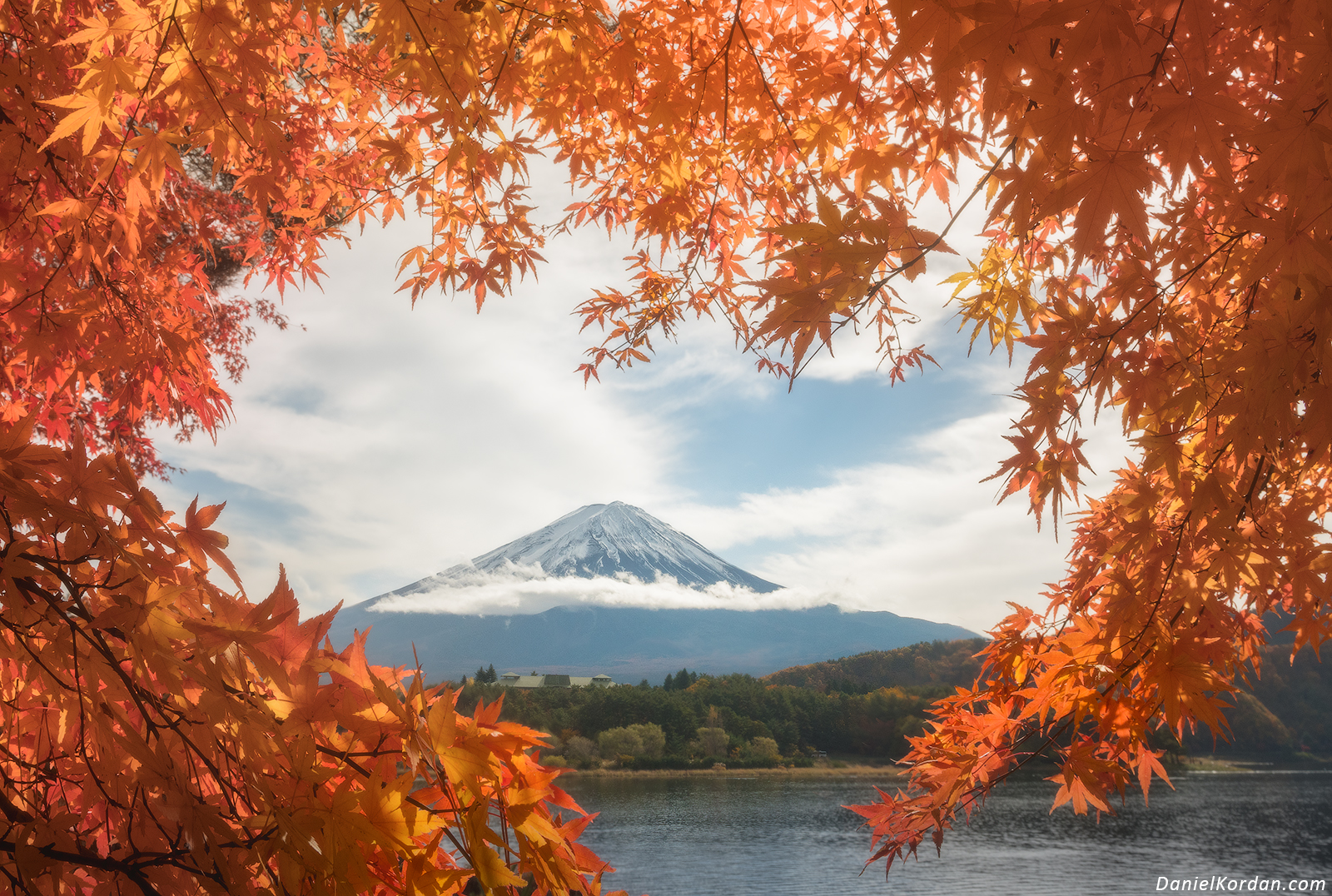Japan in red autumn leaves photo tour, 10 18 November, 19 27