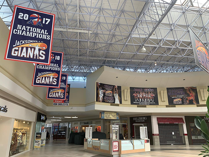 Jacksonville Giants Danielle Allen Design